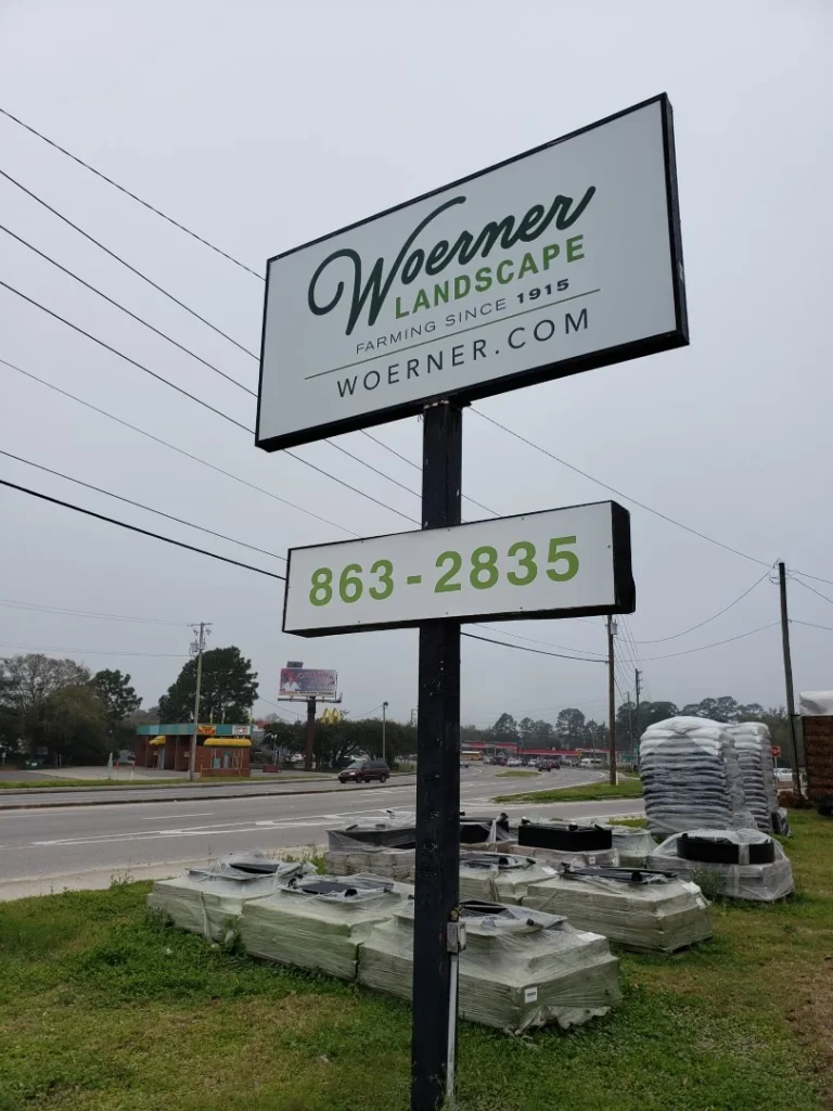 Flat Signs and Pan Faces