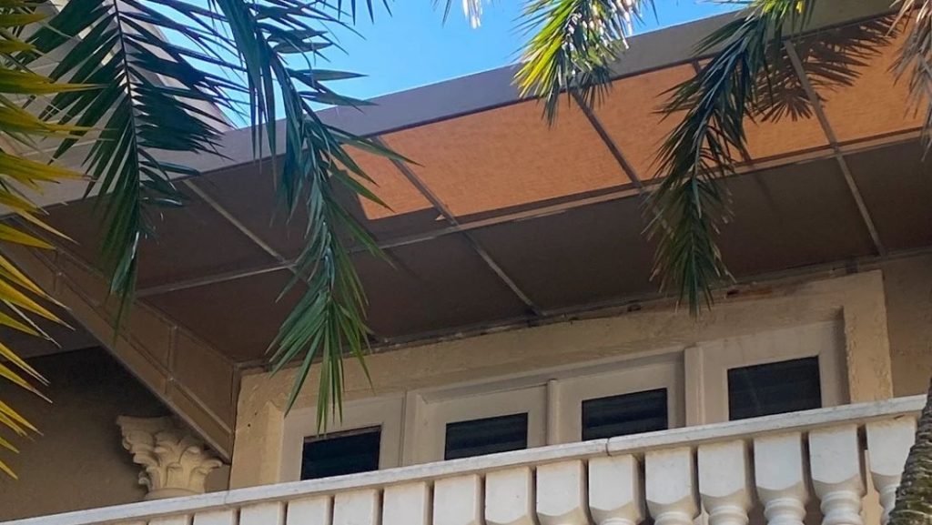 A close-up view of a window awning Tampa Bay, showing the awning above a set of windows with palm tree leaves in the foreground.